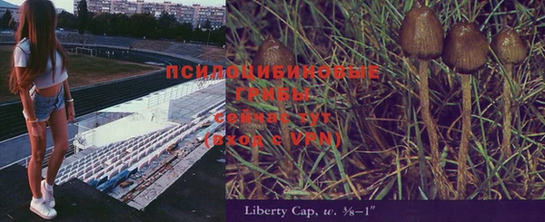 дурь Белоозёрский