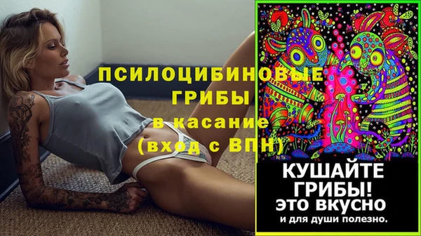 дурь Белоозёрский